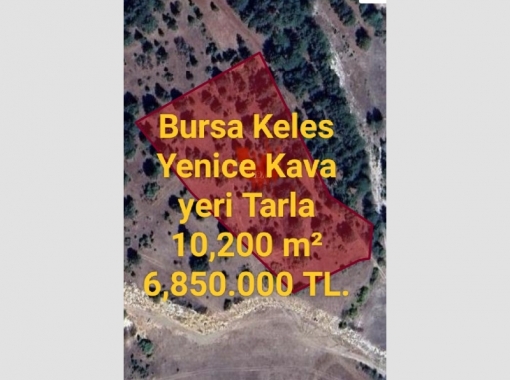 Bursa Keles Yenice Kava Yeri tarla