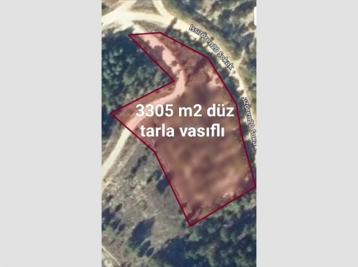 Bursa Keles ıssızören köyünde kiraz tarlası